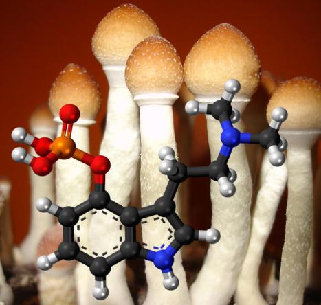 Psilocybin is the hallucinogen in magic mushrooms. Like MDMA is a class A drug in the UK